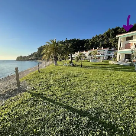 Thalassa-seafront Family